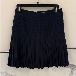 J. Crew Navy Mini Skirt